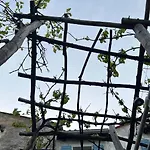 Seaview Croatia - Ena Mošćenička Draga