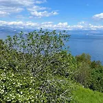 Seaview Croatia - Ena *