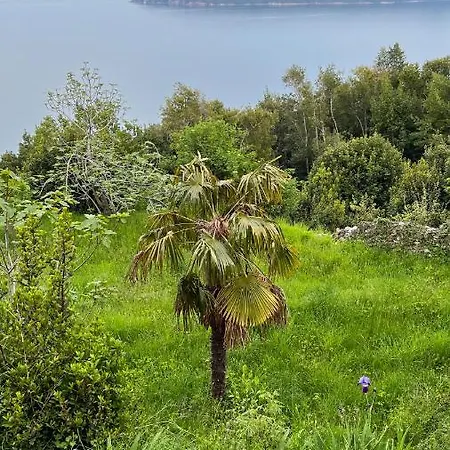 Apartment Seaview Croatia - Ena Moscenicka Draga