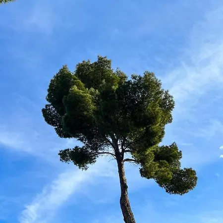 Appartamento Seaview Croatia - Ena