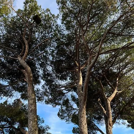 Appartamento Seaview Croatia - Ena