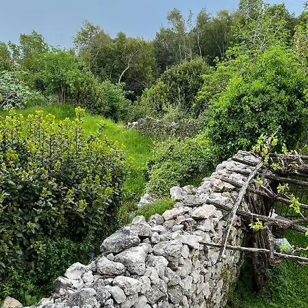 Seaview Croatia - Ena Mošćenička Draga