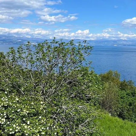 Seaview Croatia - Ena *