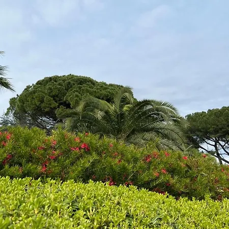 Seaview Croatia - Ena Appartamento *